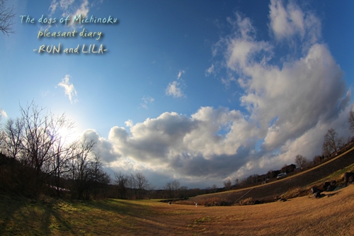 20121220b-12.jpg