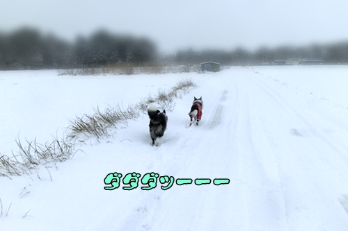 20121220b-2.jpg