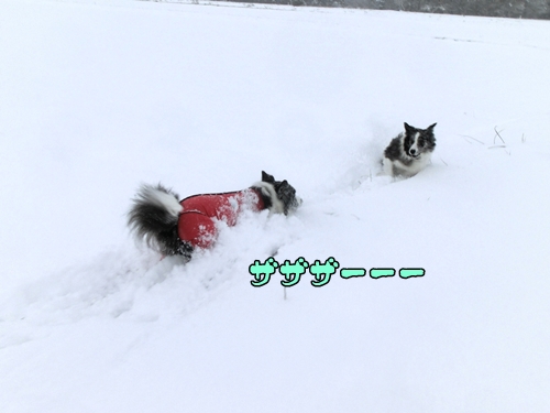 20121220b-3.jpg