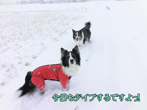 20121220b-5CIMG5645.jpg