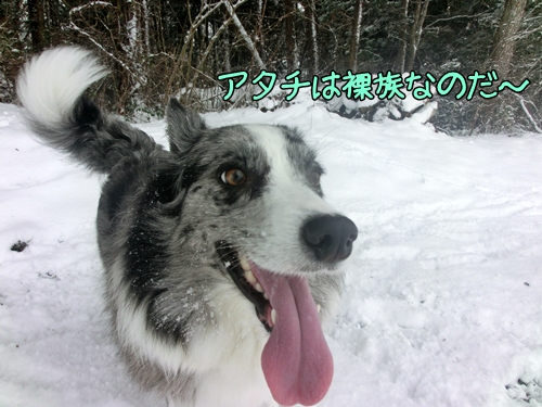 20121220b-7.jpg