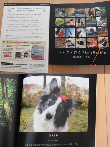 20121225b-4.jpg