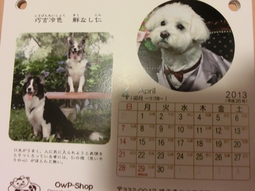 20130107b-5.jpg