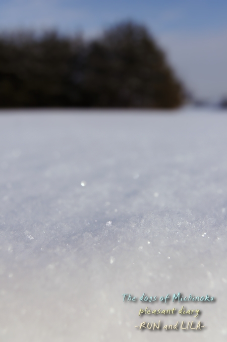 20130109b-1.jpg