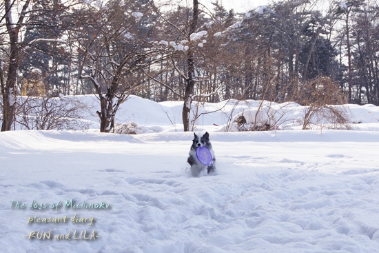 20130109b-10.jpg