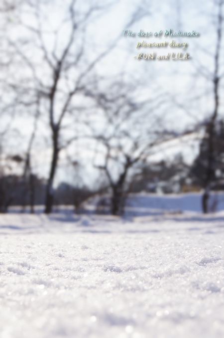 20130109b-12.jpg