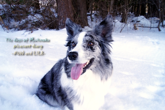 20130109b-13.jpg