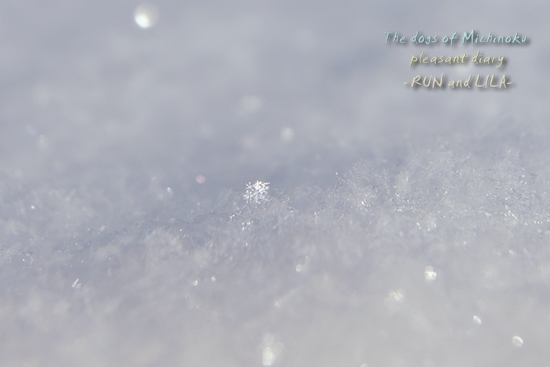 20130109b-2.jpg
