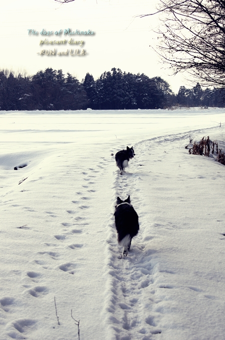 20130109b-4.jpg