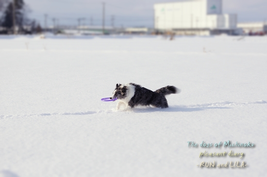 20130109b-5.jpg
