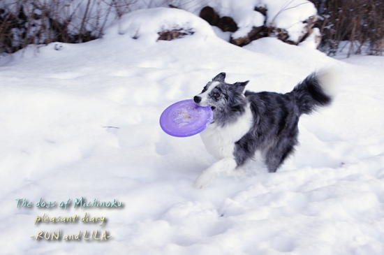 20130109b-8.jpg