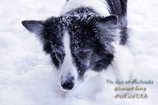 20130109b-9.jpg