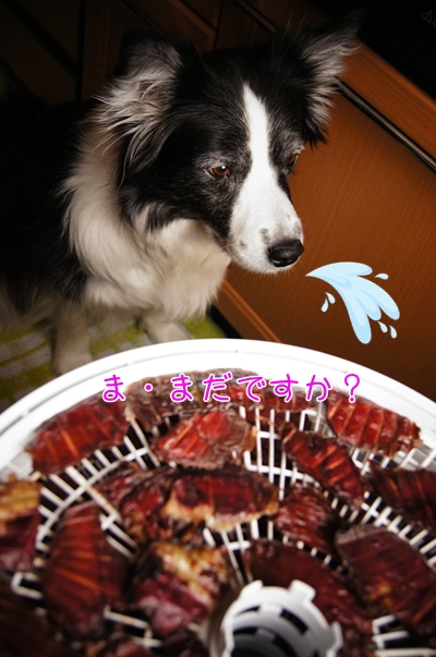 20130113b-4