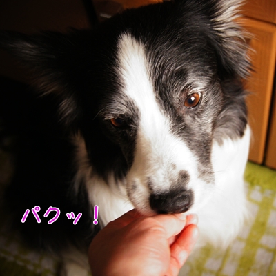 20130113b-8