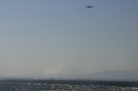 DSC_2661-2_01_1_19.jpg