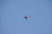 DSC_2720-2_02_1_23.jpg