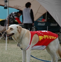 DSC_4411-champ.jpg