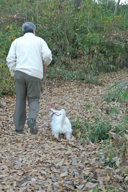 DSC_2470.jpg