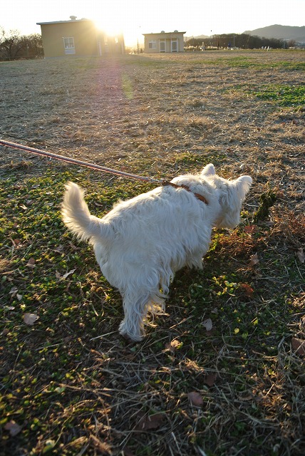 DSC_2481.jpg