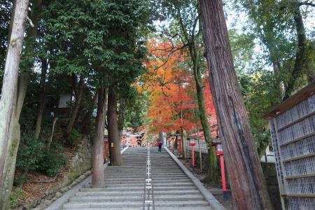吉田神社-5