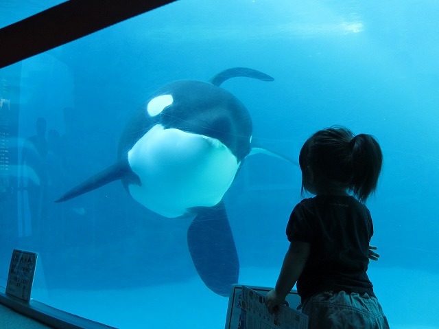 002_20120806191259.jpg