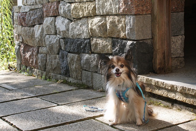 DSC00049.jpg