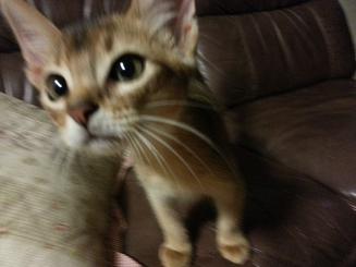 20120909_211534.jpg