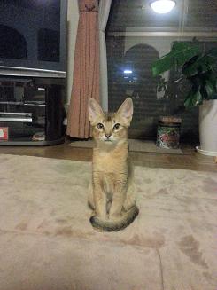 20121022_202532.jpg
