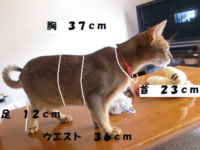 CIMG7495.jpg