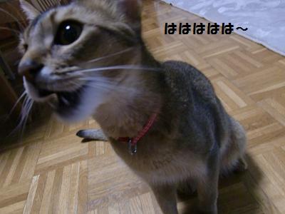 CIMG7613.jpg