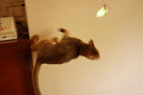 DSC00010.jpg