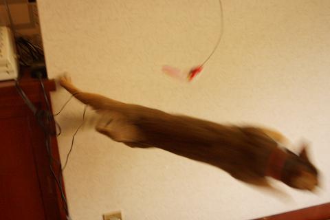 DSC00011.jpg