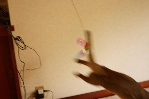DSC00012.jpg