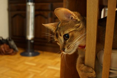 DSC00176.jpg