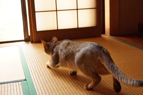 DSC00392.jpg