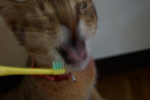 DSC01524.jpg