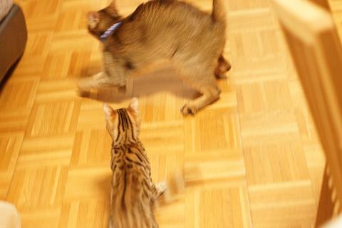 DSC02687.jpg