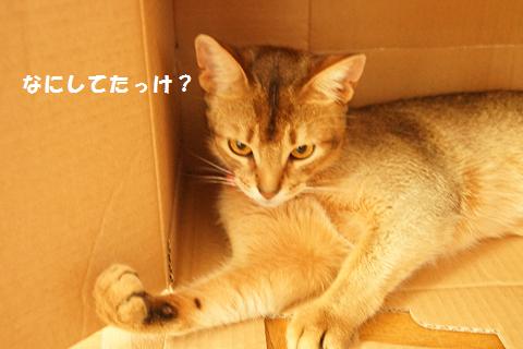 DSC02866.jpg
