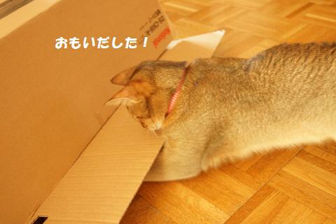 DSC02886.jpg