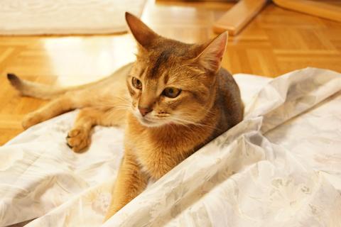 DSC03011.jpg