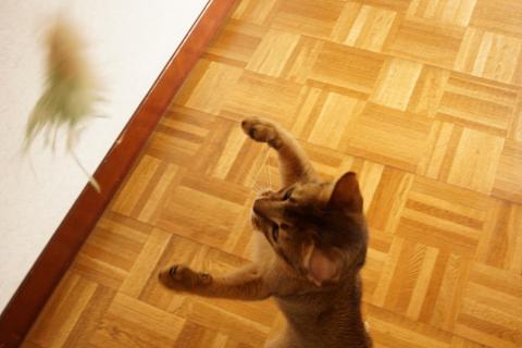 DSC03108.jpg