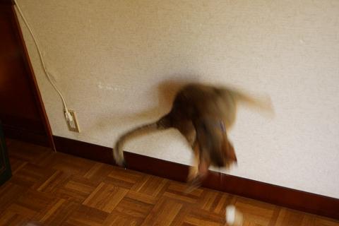 DSC03329.jpg