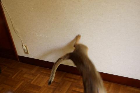 DSC03330.jpg