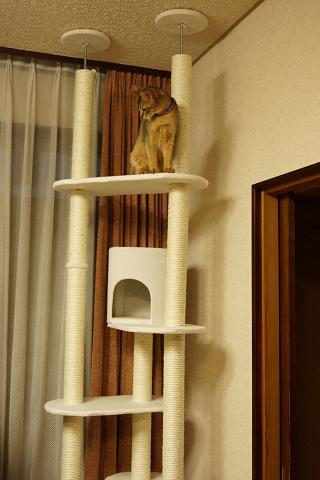 DSC03509.jpg