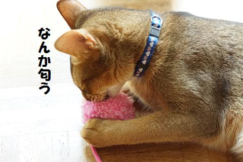 DSC06821.jpg