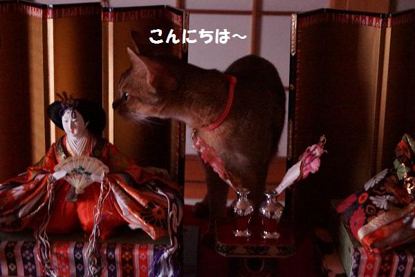 DSC07015.jpg