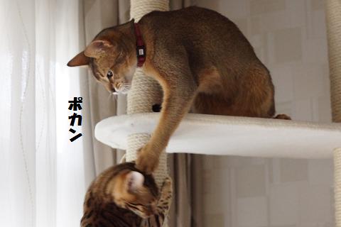 DSC07121c.jpg