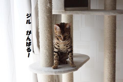 DSC07123c.jpg