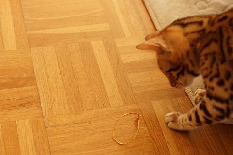 DSC07137c.jpg