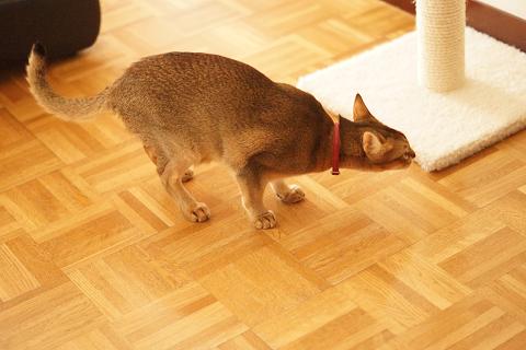 DSC07148c.jpg
